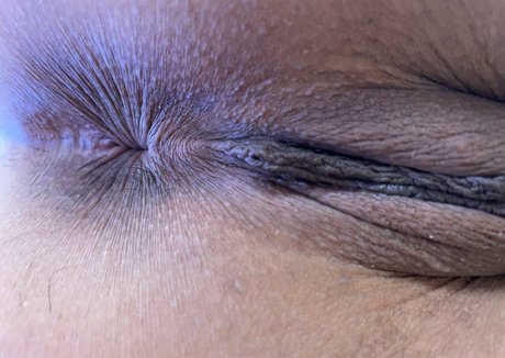 HoneyVulture 独占スター 写真