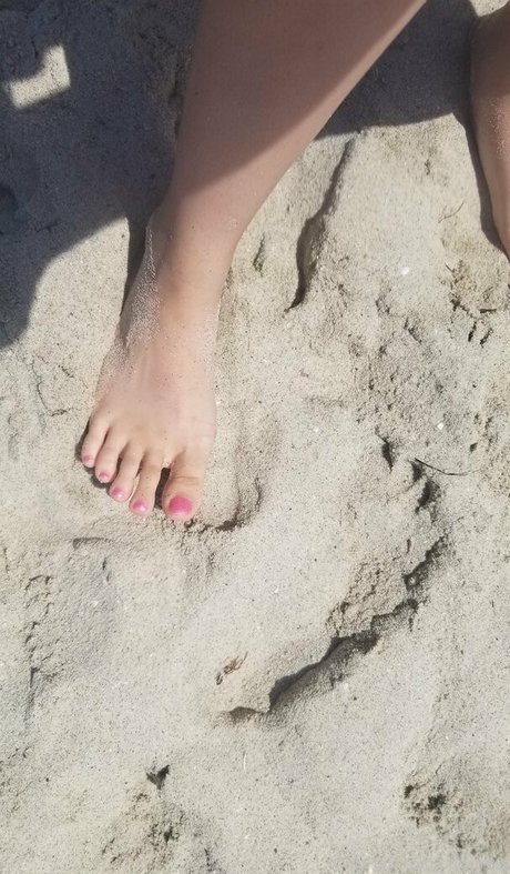 PDoctress HDスター 画像