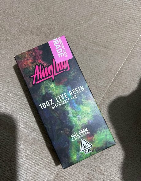 lakettebarraza トップスター 画像