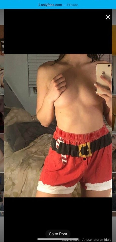 sydthesenator 高品質モデル 画像