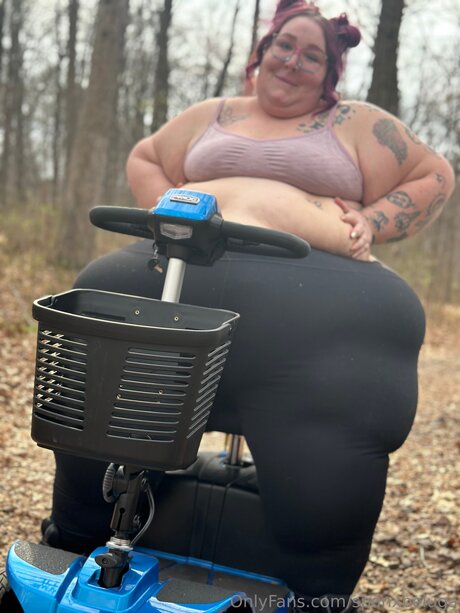 spanxbeluga HDモデル 写真