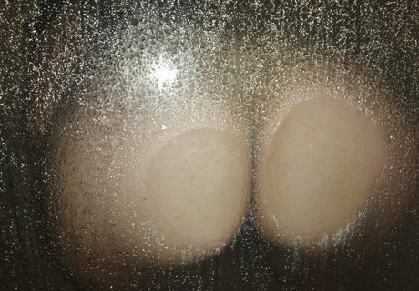 priscilasmith 完璧なスター ギャラリー