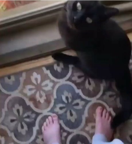 Awakeproductions エロティックなスター 写真