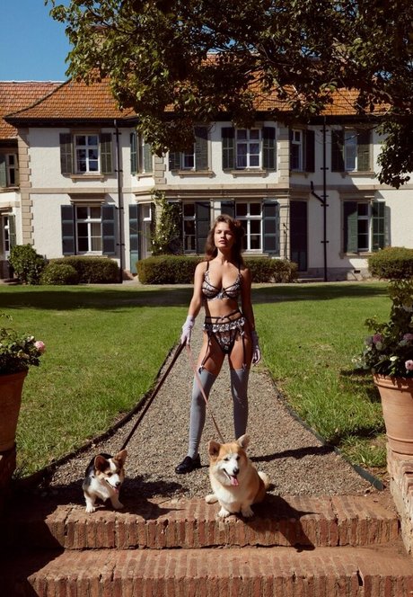 ブルネットのPOV オンリーファンズ ポルノ ギャラリー