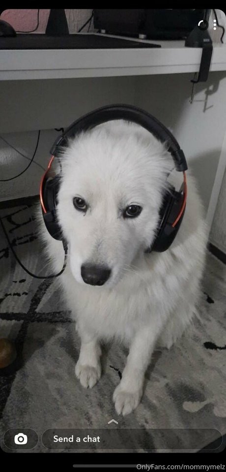 陸軍の熟女オンリーファンズ ベスト 写真