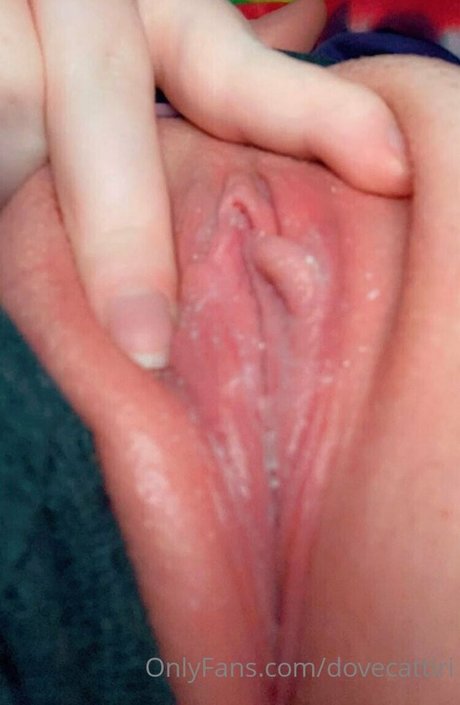 dovecattiri HDスター 画像