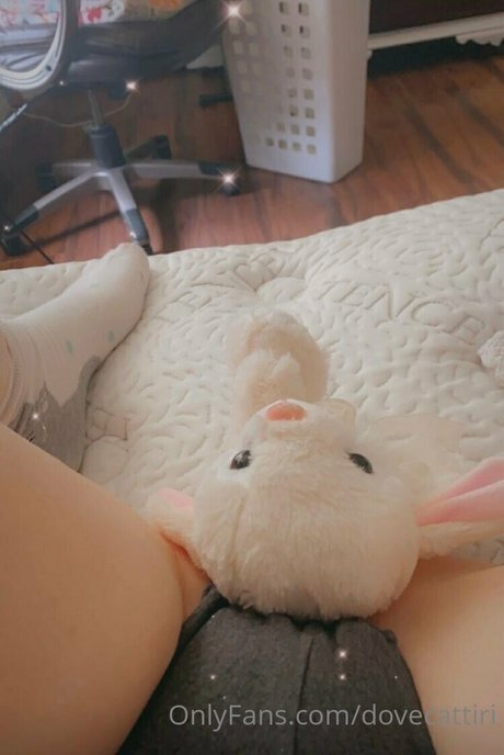 dovecattiri 素敵なモデル 写真