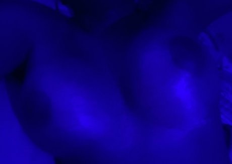 jerri thedancer 無料スター ギャラリー