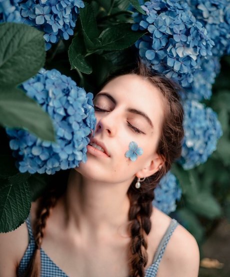 Seerasan 完璧なスター アーカイブ