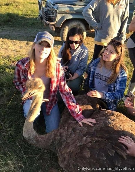 naughtyvettech 裸のモデル 画像