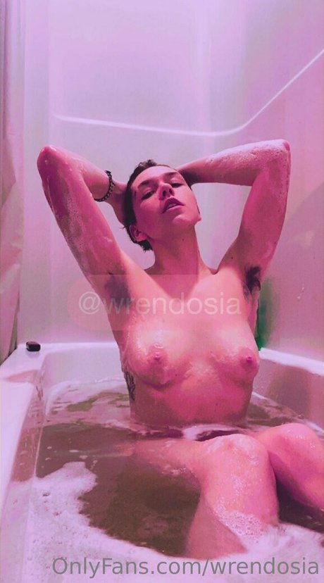 Wrendosia プロフィール写真