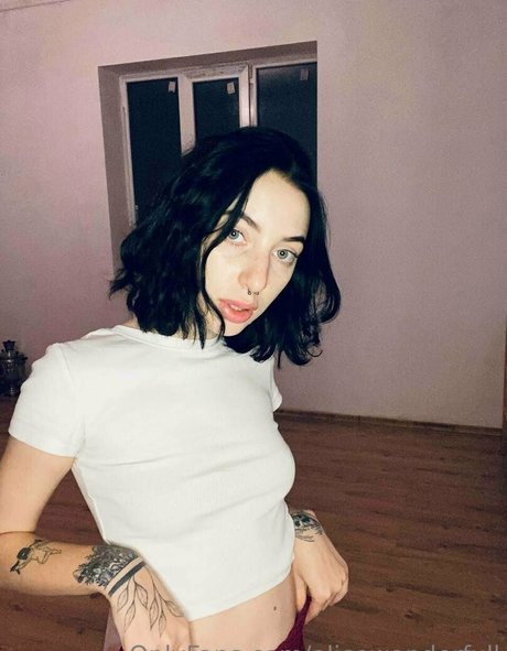 獣医オンリーファンズ アート裸 画像