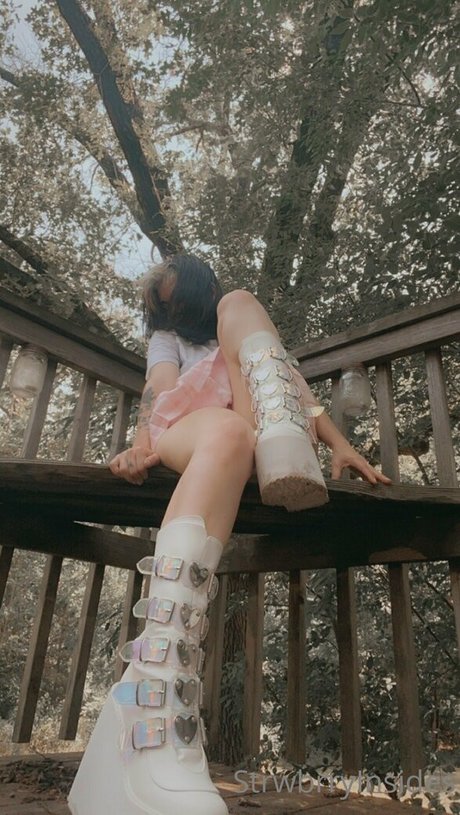 viinusflytrap 素敵なモデル 画像