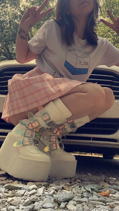 viinusflytrap 高品質モデル アーカイブ