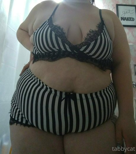 tabby cat95 ポルノスター 高品質 写真