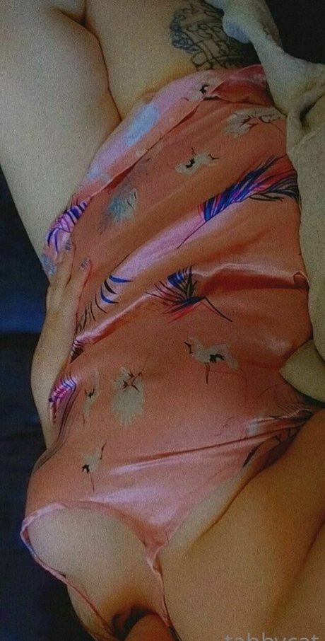 tabby cat95 アダルトスター 画像