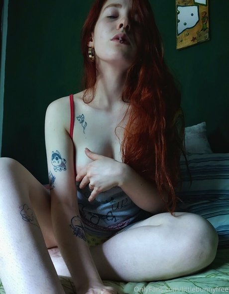 littlebunnyfree アートスター 写真