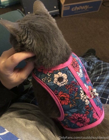 巨大ディルドオンリーファンズ 無料ポルノ ギャラリー