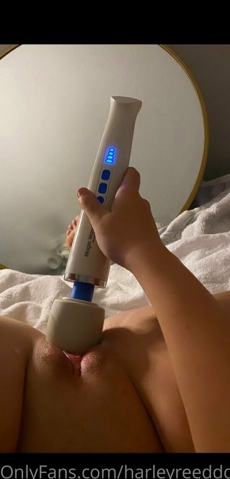 harleyreeddd トップ女優 写真