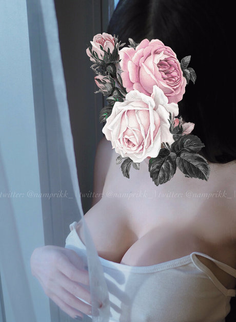 Npxvip エロティックモデル アーカイブ