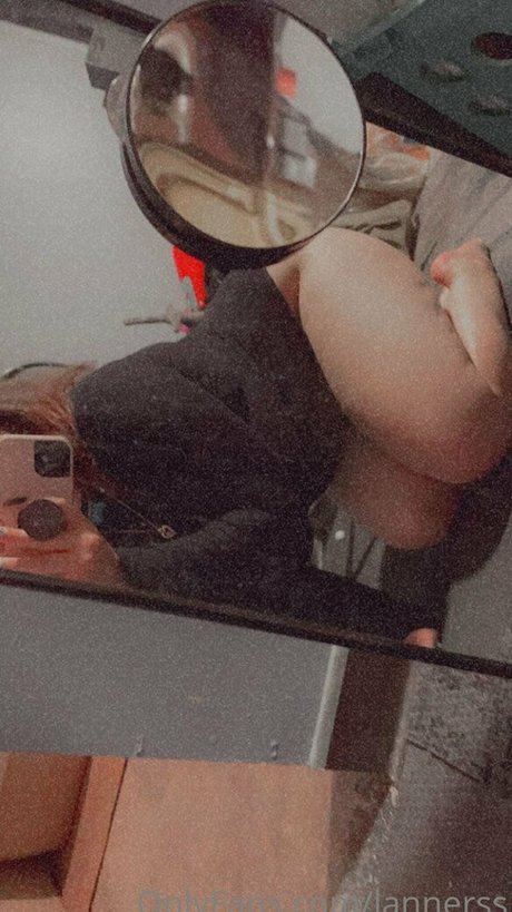 lannerswolf アートスター 画像