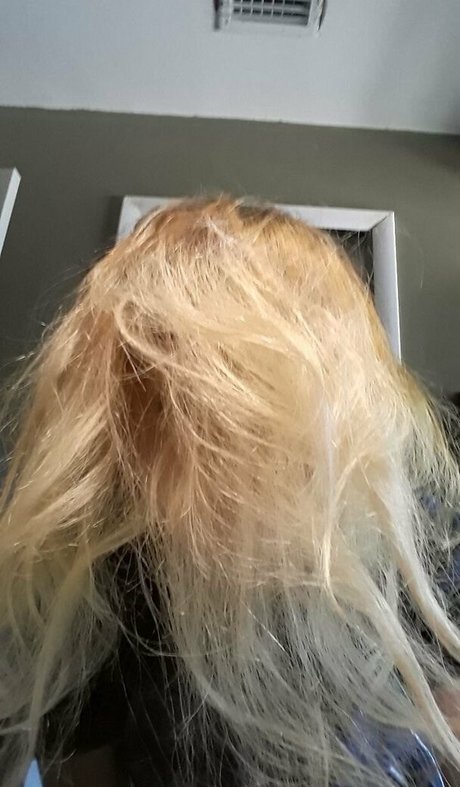 ひよこオンリーファンズ アダルト アーカイブ