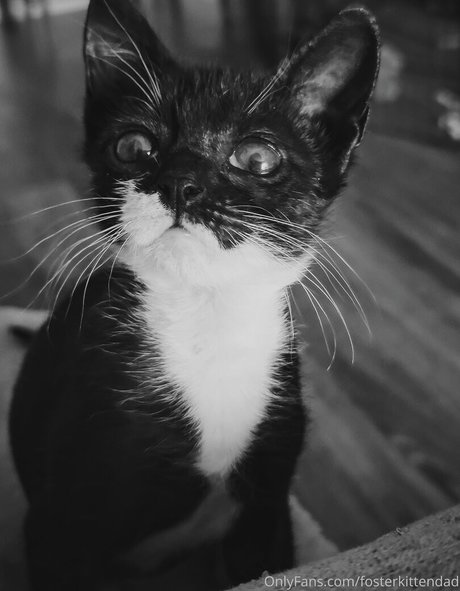 ジムガールズオンリーファンズ ポルノ 画像