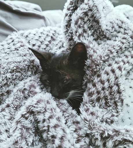 モンスターコックオンリーファンズ ポルノ ギャラリー