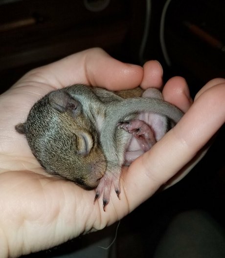 mikaylarainesfans ホットなスター ギャラリー