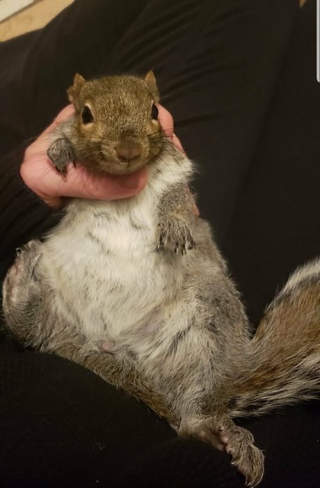 フィットネスプッシーオンリーファンズ 無料エロ ギャラリー