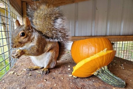 mikaylarainesfans トップスター 写真