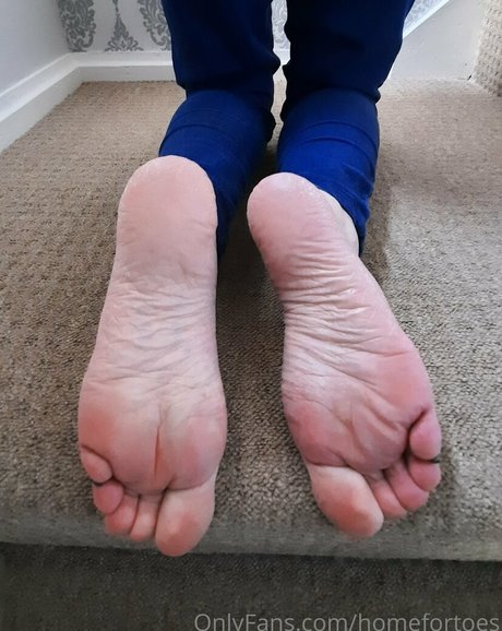homefortoes ポルノスター ヌード 写真