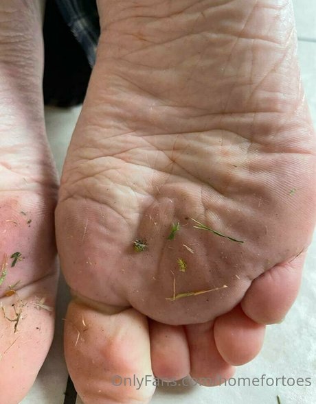 homefortoes ポルノスター パーフェクト 写真