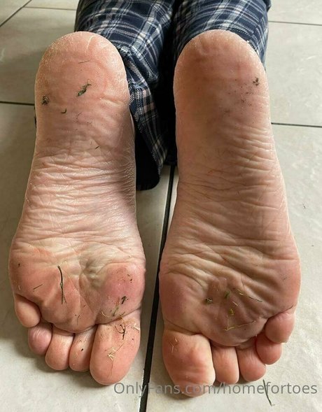 homefortoes 完璧なモデル 写真