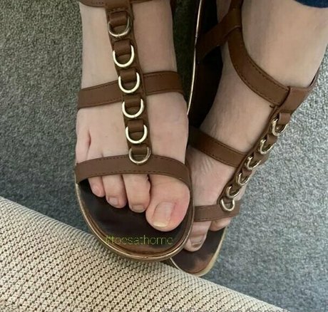 homefortoes アダルトスター 写真