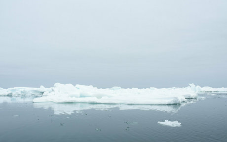 iceicelady 裸モデル 写真