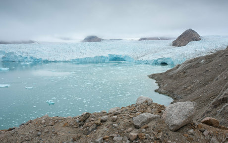 iceicelady ポルノスター 独占 アーカイブ