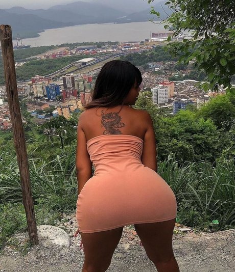 Polisavage アダルトスター 画像