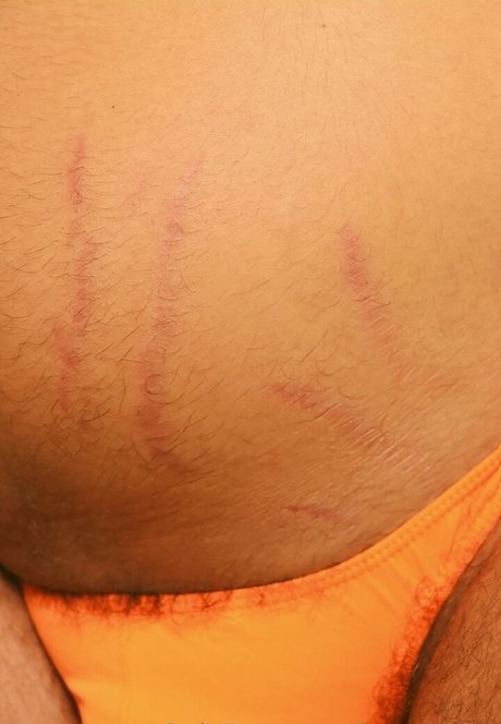 lovregainz アートスター 画像