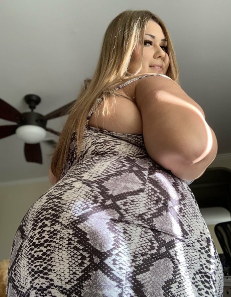 赤毛トランスオンリーファンズ えろた 画像