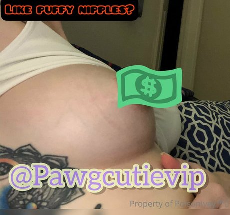 pawgcutie1 高品質のポルノスター 画像