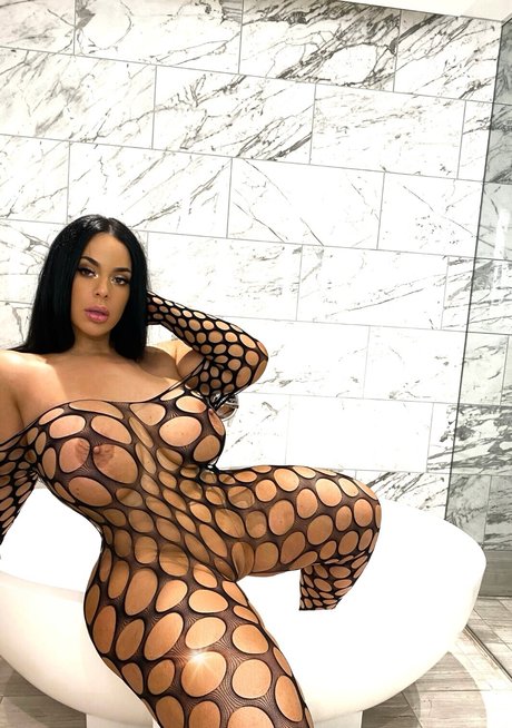 Gemstar スター アーカイブ