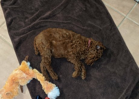 ワークアウト オンリーファンズ 美しいxxx 画像