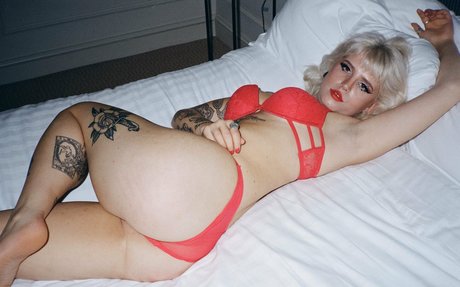 プチ無料オンリーファンズ 美しいxxx 画像