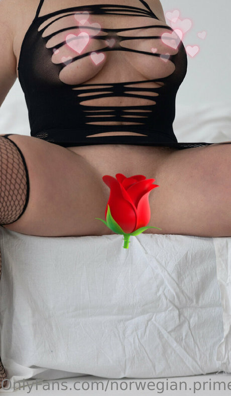 norwegian prime エロティックなスター 画像