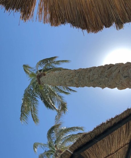 Natasha Thomsen xxxモデル 写真