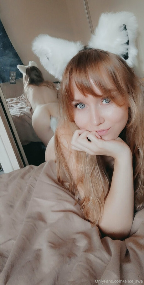 alice swe 完璧なスター 画像