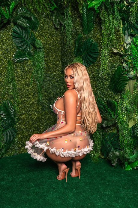 Luxiboo 完璧なスター ギャラリー