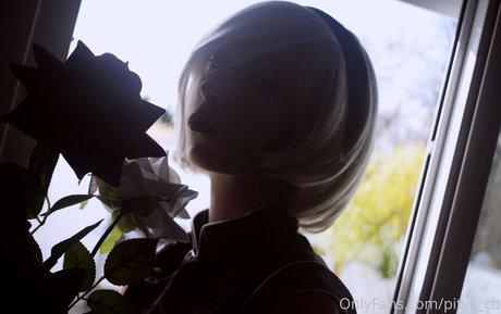 pityk cb ポルノ女優 画像