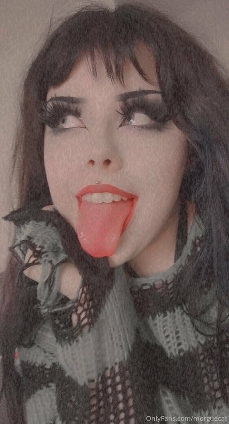 ぽっちゃりラテン系オンリーファンズ アダルト 画像